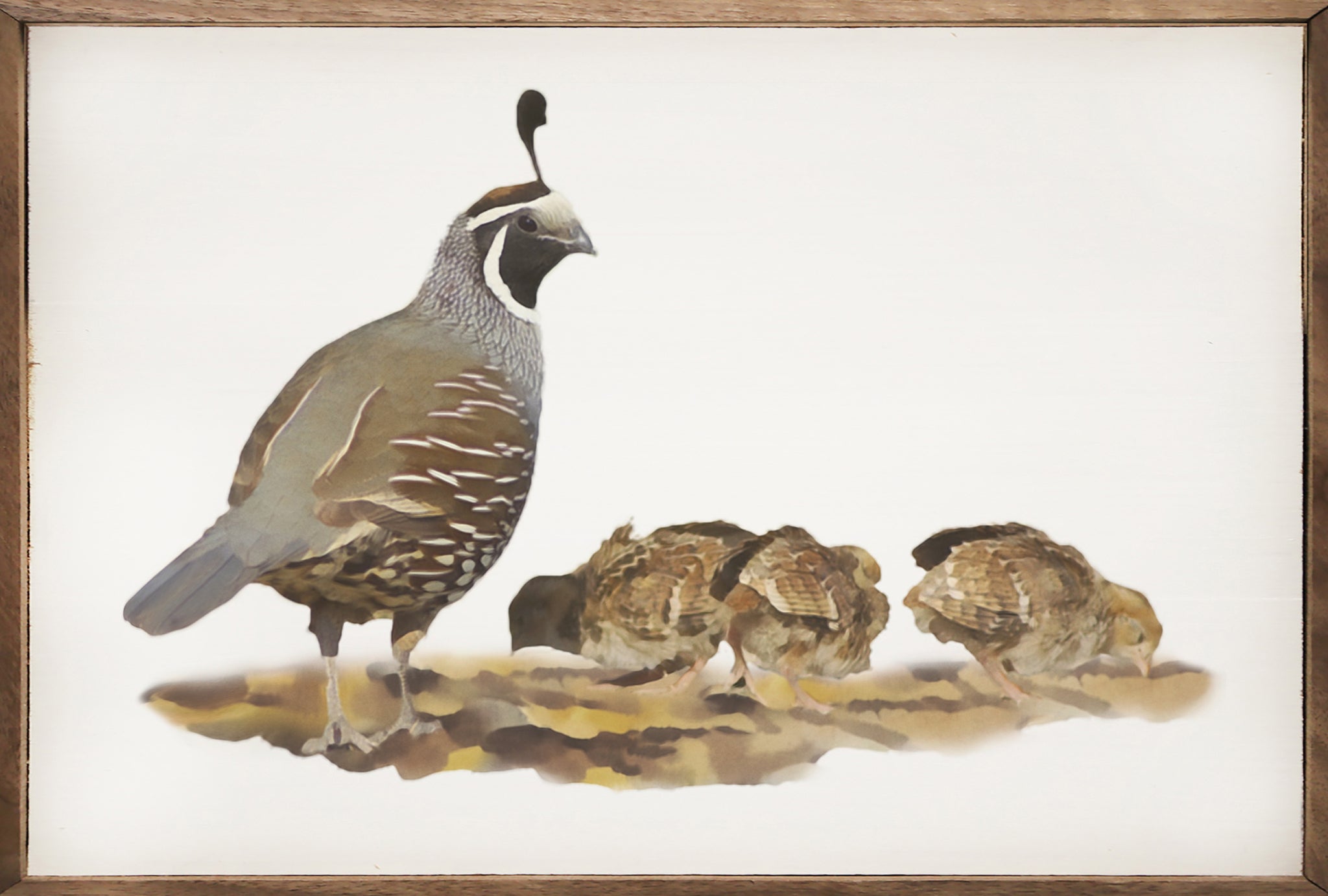 Quail Family - art | Kendrick Home